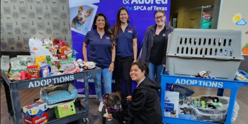 Employee Resource Group Hosts Successful SPCA Donation Drive